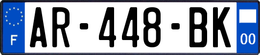 AR-448-BK