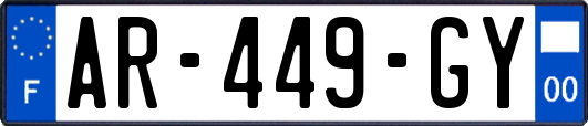 AR-449-GY