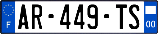 AR-449-TS