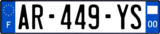 AR-449-YS
