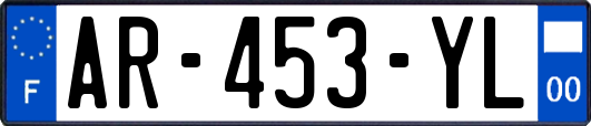 AR-453-YL
