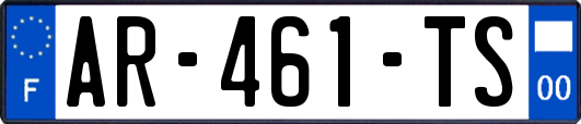 AR-461-TS