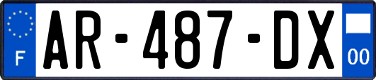 AR-487-DX