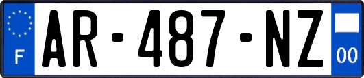 AR-487-NZ
