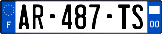 AR-487-TS
