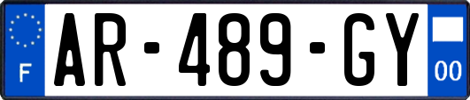 AR-489-GY