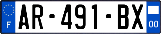 AR-491-BX