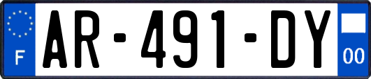 AR-491-DY