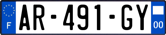 AR-491-GY