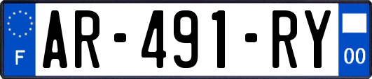 AR-491-RY
