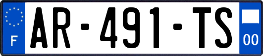 AR-491-TS