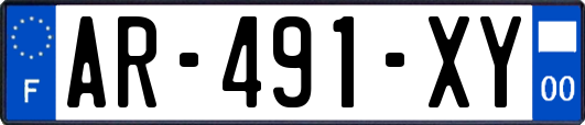 AR-491-XY