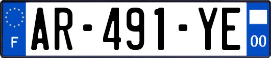 AR-491-YE
