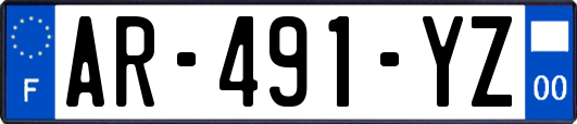 AR-491-YZ