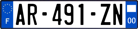 AR-491-ZN