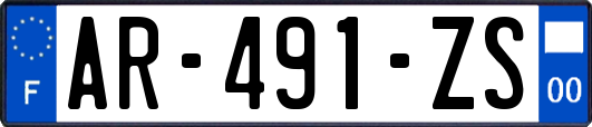 AR-491-ZS