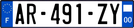 AR-491-ZY