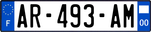 AR-493-AM