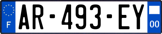 AR-493-EY