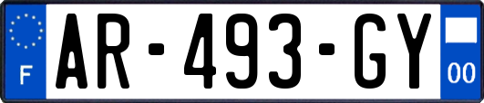 AR-493-GY