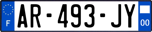 AR-493-JY