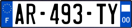AR-493-TY