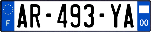 AR-493-YA