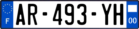 AR-493-YH