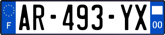 AR-493-YX