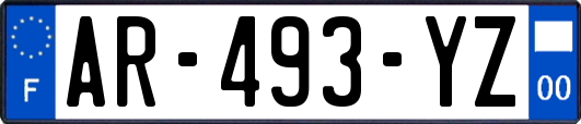 AR-493-YZ
