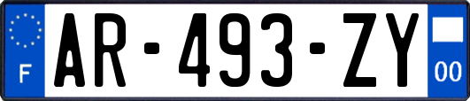 AR-493-ZY