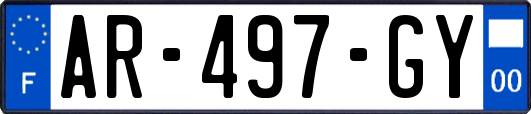 AR-497-GY