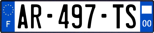 AR-497-TS