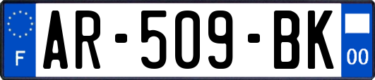 AR-509-BK