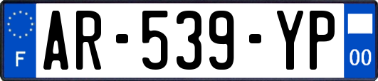 AR-539-YP