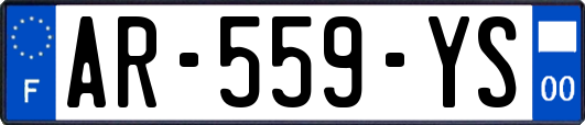 AR-559-YS