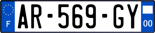 AR-569-GY