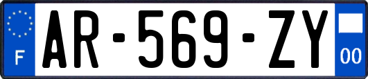 AR-569-ZY