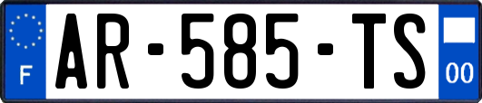 AR-585-TS