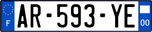 AR-593-YE