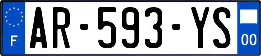 AR-593-YS