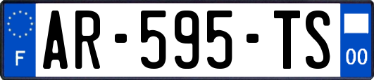 AR-595-TS