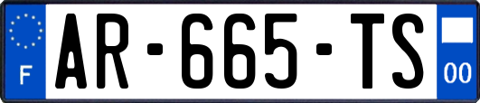 AR-665-TS