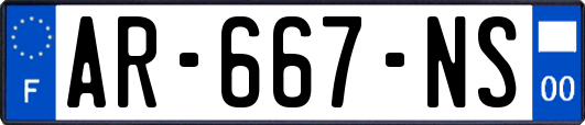 AR-667-NS