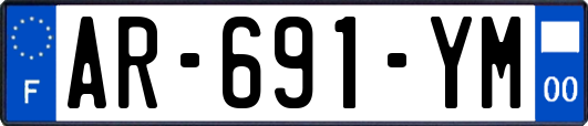 AR-691-YM