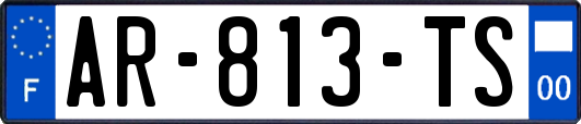 AR-813-TS
