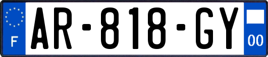 AR-818-GY