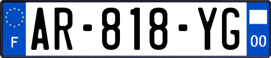 AR-818-YG
