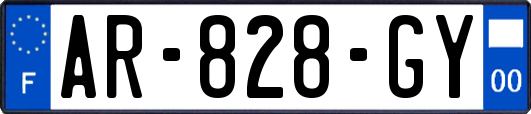 AR-828-GY