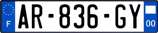 AR-836-GY